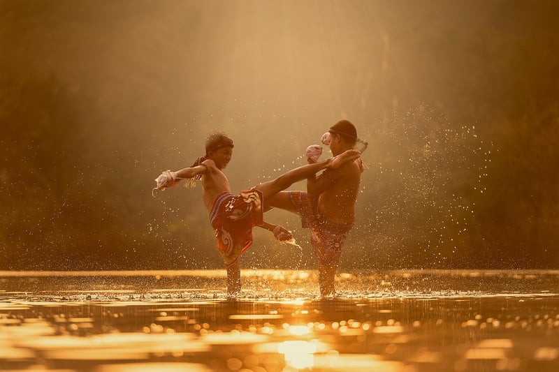 Wu Style Tai Chi Image
